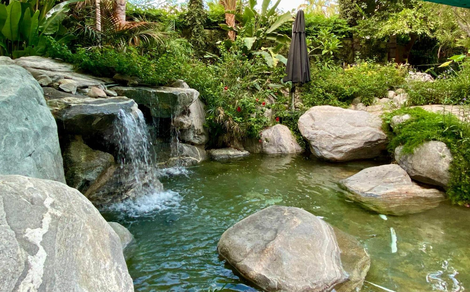 Vista Grande Resort - A Gay Men'S Resort Palm Springs Zewnętrze zdjęcie