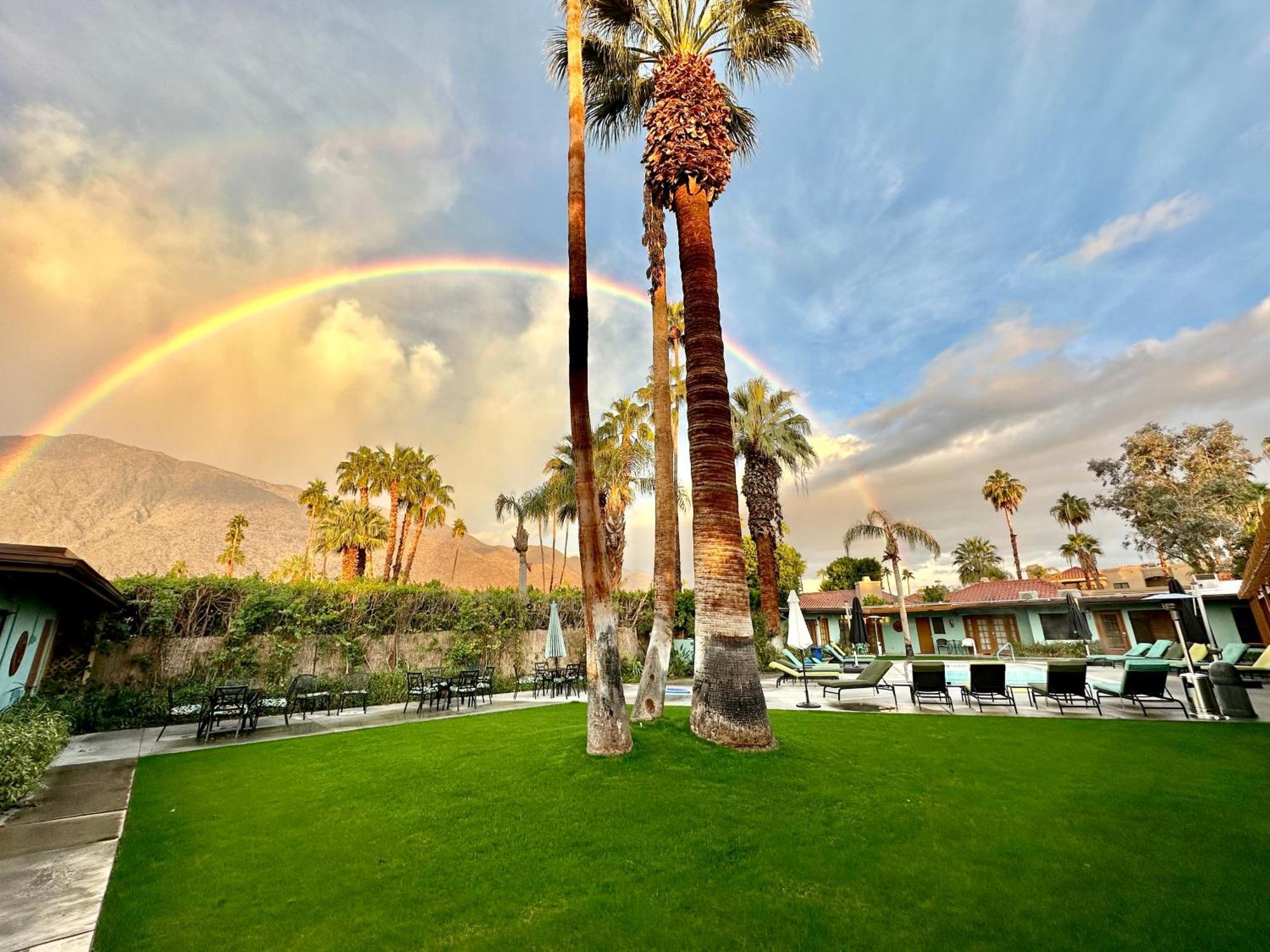 Vista Grande Resort - A Gay Men'S Resort Palm Springs Zewnętrze zdjęcie