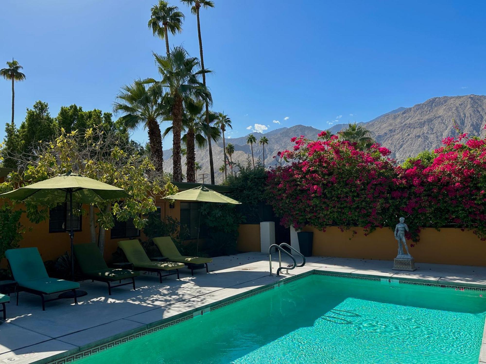 Vista Grande Resort - A Gay Men'S Resort Palm Springs Zewnętrze zdjęcie